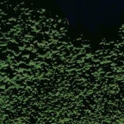 Satellite imagery of Point Nelson, US