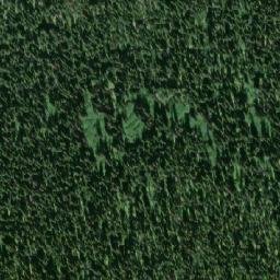 Satellite imagery of Mount Sylvester, CA