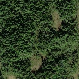Satellite imagery of Point Nelson, US