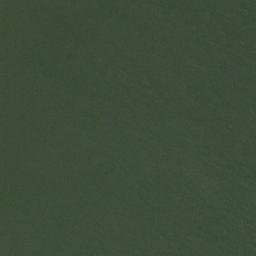 Satellite imagery of Parnidžio Ragas, LT