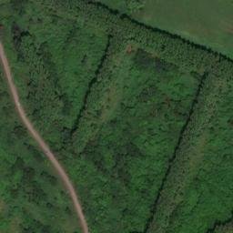 Satellite imagery of Березовский Тракт, KZ