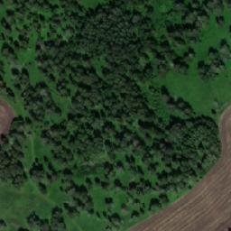 Satellite imagery of Усть-Боровушка, KZ