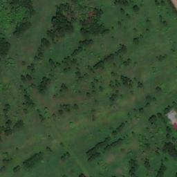 Satellite imagery of Березовский Тракт, KZ