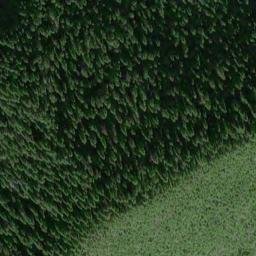 Satellite imagery of Fortaleza Ridge, US