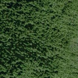 Satellite imagery of Point San Antonio, US