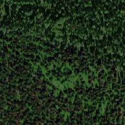 Satellite imagery of Банный, RU