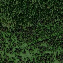 Satellite imagery of Банный, RU