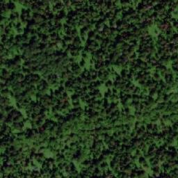 Satellite imagery of Банный, RU