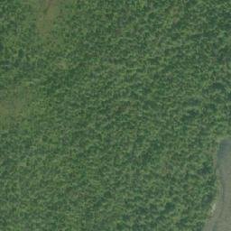 Satellite imagery of Blunt Point, US