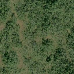 Satellite imagery of Cone Point, US