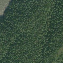 Satellite imagery of Logan Point, CA