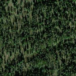 Satellite imagery of Гавриловка, RU