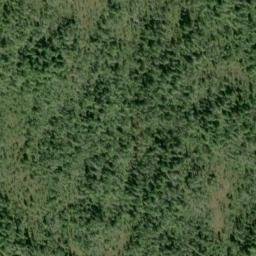 Satellite imagery of Cone Point, US