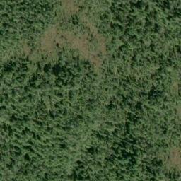 Satellite imagery of Cone Point, US