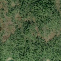 Satellite imagery of Angle Point, US