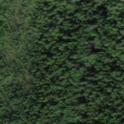 Satellite imagery of Roe Point, US