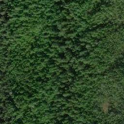 Satellite imagery of Roe Point, US