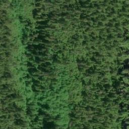 Satellite imagery of Bass Point, US