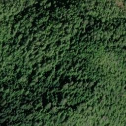 Satellite imagery of Halibut Nose, US