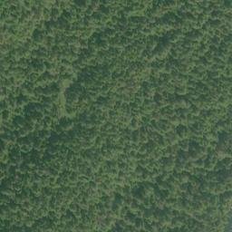 Satellite imagery of Halibut Point, US