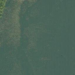 Satellite imagery of Halibut Point, US