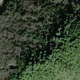 Satellite imagery of Saltery Point, US