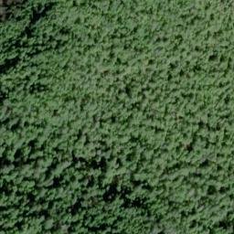 Satellite imagery of Saltery Point, US