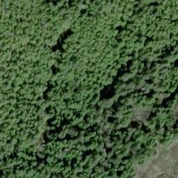 Satellite imagery of Saltery Point, US