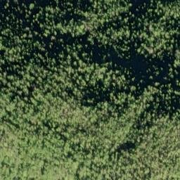 Satellite imagery of Diver Point, US