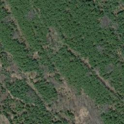 Satellite imagery of Saddle Hill, CA