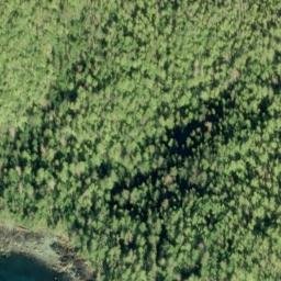 Satellite imagery of Diver Point, US