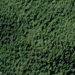 Satellite imagery of Whisker Point, US
