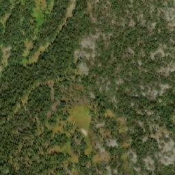 Satellite imagery of Cowmoose Mountain, CA