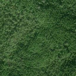 Satellite imagery of Pilot Point, US