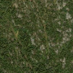Satellite imagery of Cowmoose Mountain, CA