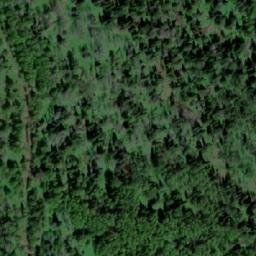 Satellite imagery of Никандровка, KZ