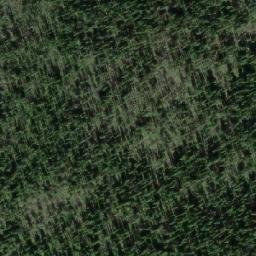 Satellite imagery of Skog Mountain, CA