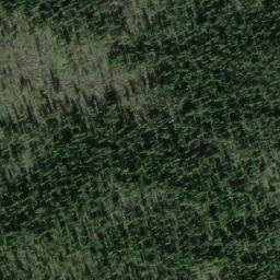 Satellite imagery of Skog Mountain, CA