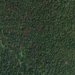 Satellite imagery of Mount Alexander, CA