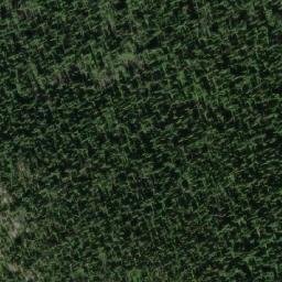 Satellite imagery of Skog Mountain, CA
