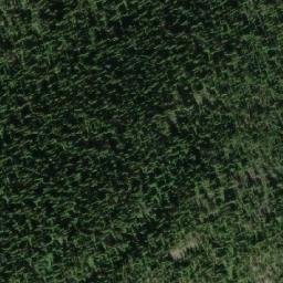 Satellite imagery of Skog Mountain, CA