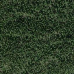 Satellite imagery of Skog Mountain, CA