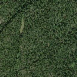 Satellite imagery of Skog Mountain, CA
