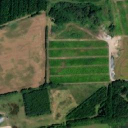 Satellite imagery of Faaborg Radio Mast, DK