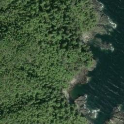 Satellite imagery of Adams Point, US