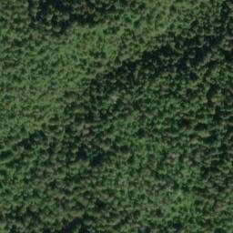 Satellite imagery of Orca Point, US