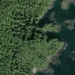 Satellite imagery of Adams Point, US
