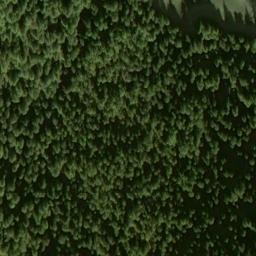 Satellite imagery of Cannery Point, US