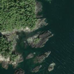 Satellite imagery of Adams Point, US