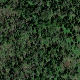 Satellite imagery of Баженовка, KZ